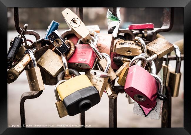 Lovers Padlocks Attached To A Gate Framed Print by Peter Greenway