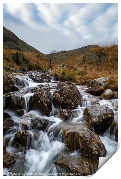 Blea Water Beck, Lake District Print by Nigel Wilkins