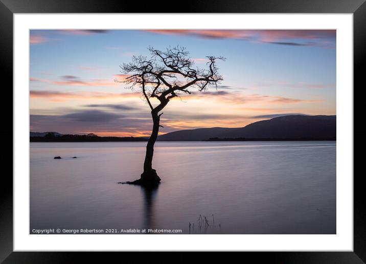 Lone Tree at Milarrochy Bay Loch Lomond Framed Mounted Print by George Robertson