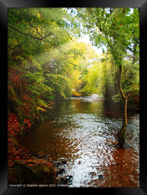 River Bovey in Sunlight Framed Print by Stephen Hamer