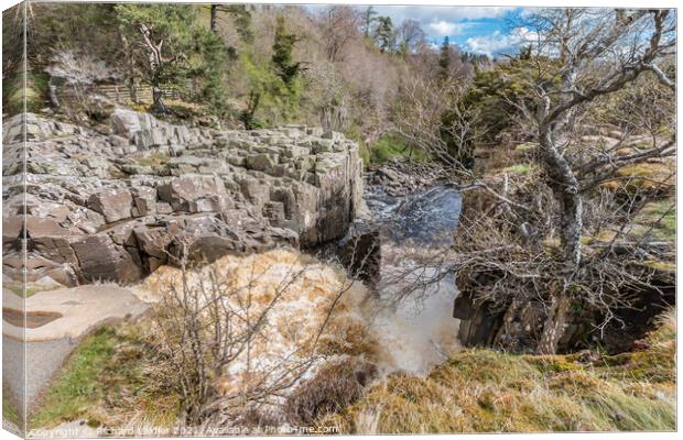 High Force Waterfall, Teesdale from the Top Down Canvas Print by Richard Laidler
