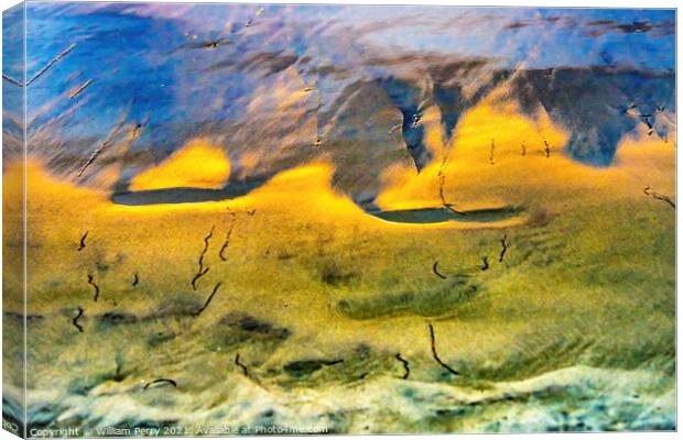 Shoreline Reflections Abstract La Jolla Shores Beach San Diego C Canvas Print by William Perry