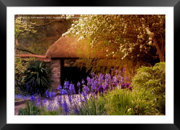 The Broadwalk Enys House Framed Mounted Print by Terri Waters
