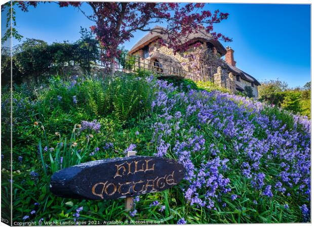 Hill Cottage Bluebells Canvas Print by Wight Landscapes