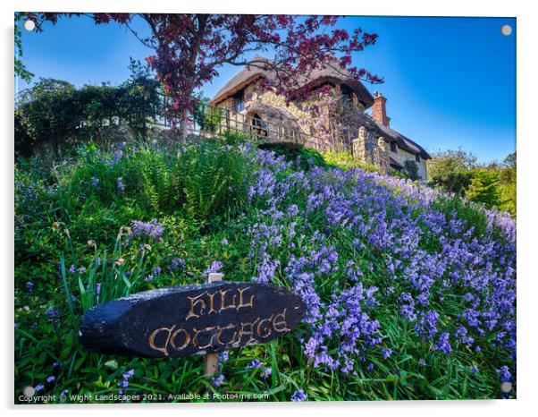 Hill Cottage Bluebells Acrylic by Wight Landscapes