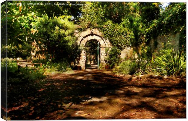 The Colonel's Garden Enys House Canvas Print by Terri Waters