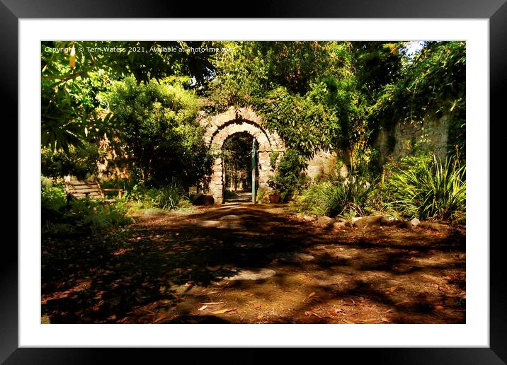 The Colonel's Garden Enys House Framed Mounted Print by Terri Waters