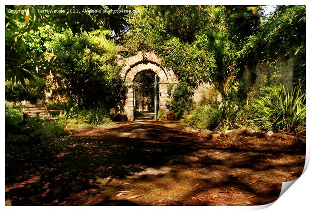 The Colonel's Garden Enys House Print by Terri Waters