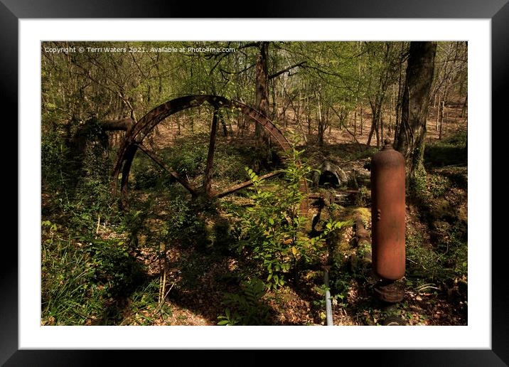 Enys House and Gardens Waterwheel Framed Mounted Print by Terri Waters