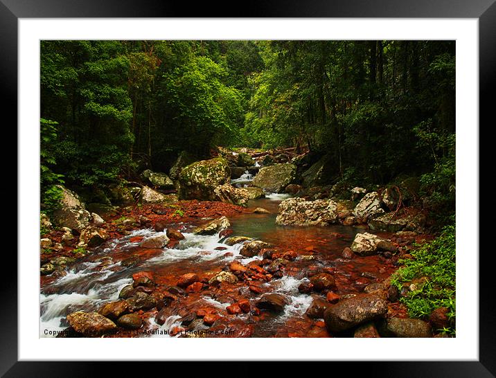 Numinbar Creek Framed Mounted Print by Bec Trinick