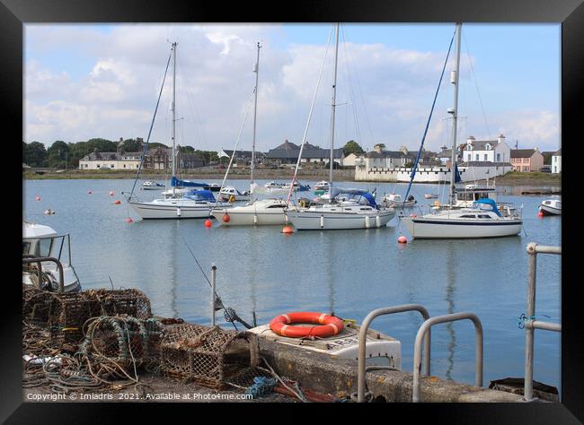 Summer Isle of Whithorn, Galloway, Scotland Framed Print by Imladris 