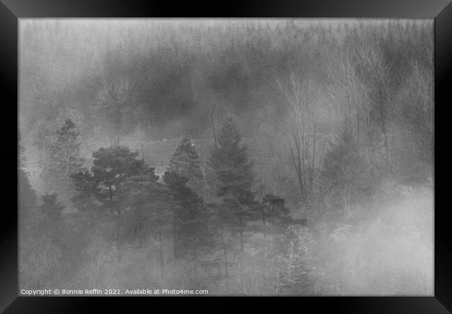 Misty Treetops Framed Print by Ronnie Reffin
