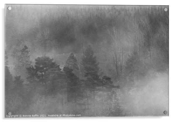 Misty Treetops Acrylic by Ronnie Reffin