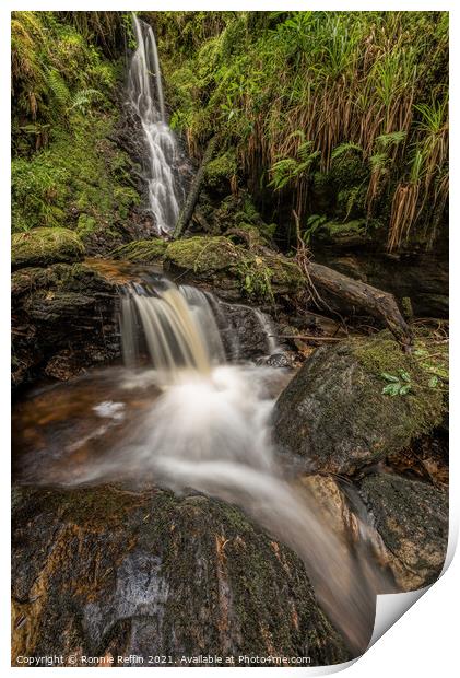 Twin Waterfalls Print by Ronnie Reffin