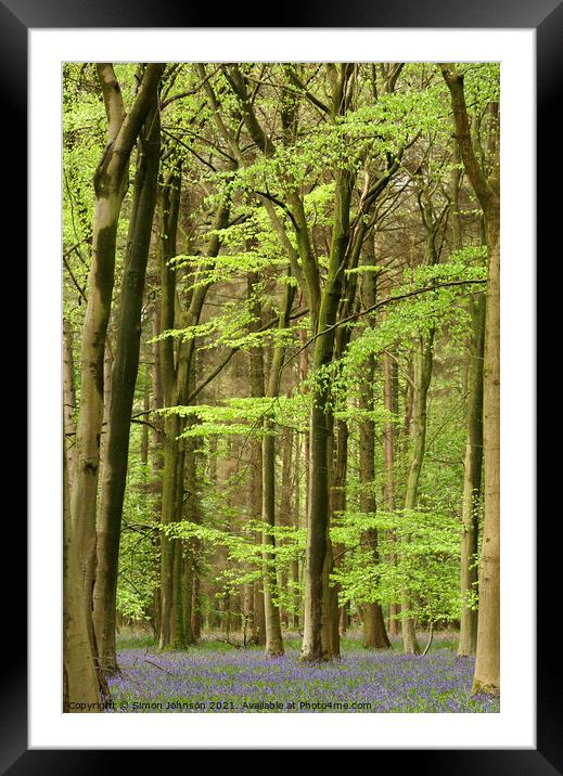 Spring woodland with bluebells Framed Mounted Print by Simon Johnson