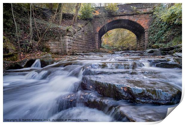 Bridge over May Beck, Sneaton Forest, Near Whitby Print by Martin Williams