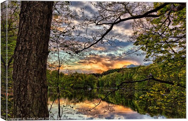 Golden Hour at Coppice Pond Canvas Print by Trevor Camp