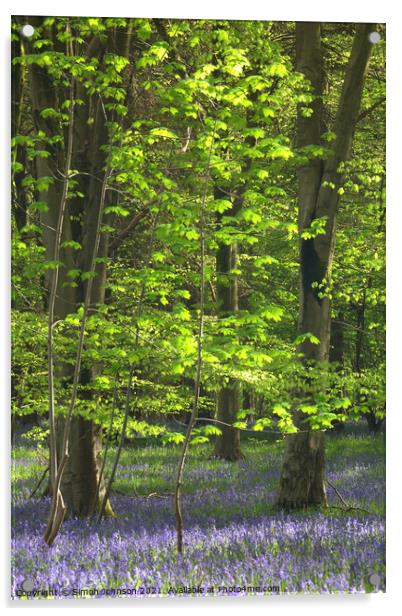 Sunlit leaves and bluebells Acrylic by Simon Johnson