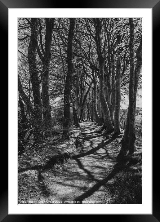 The Avenue of trees Framed Mounted Print by Ralph Greig