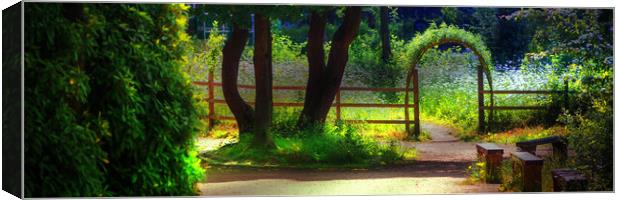 HL0026P - Come on in - Panorama Canvas Print by Robin Cunningham
