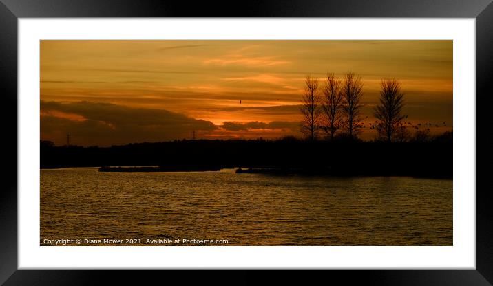 Abberton Reservoir Sunset Essex Framed Mounted Print by Diana Mower