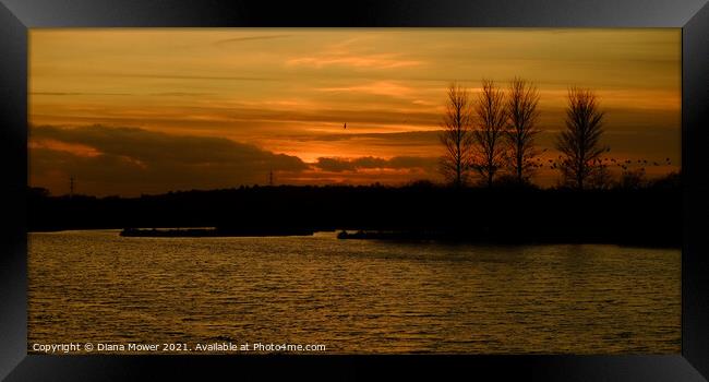 Abberton Reservoir Sunset Essex Framed Print by Diana Mower