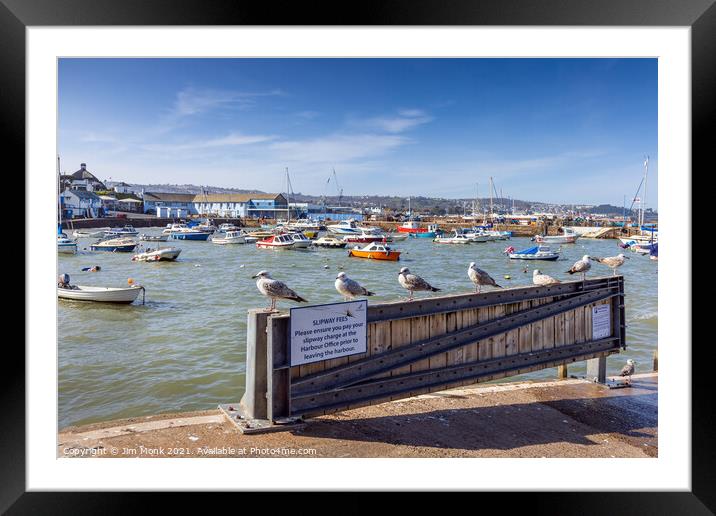 Paignton Harbour View Framed Mounted Print by Jim Monk