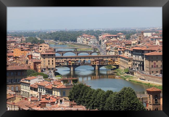 Majestic Ponte Vecchio in Florence Framed Print by Antony Robinson