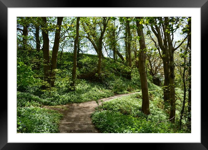 Hastings Country park in bloom Framed Mounted Print by Lee Sulsh