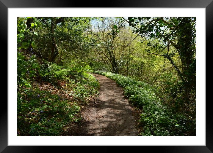 Wild Garlic lined path  Framed Mounted Print by Lee Sulsh