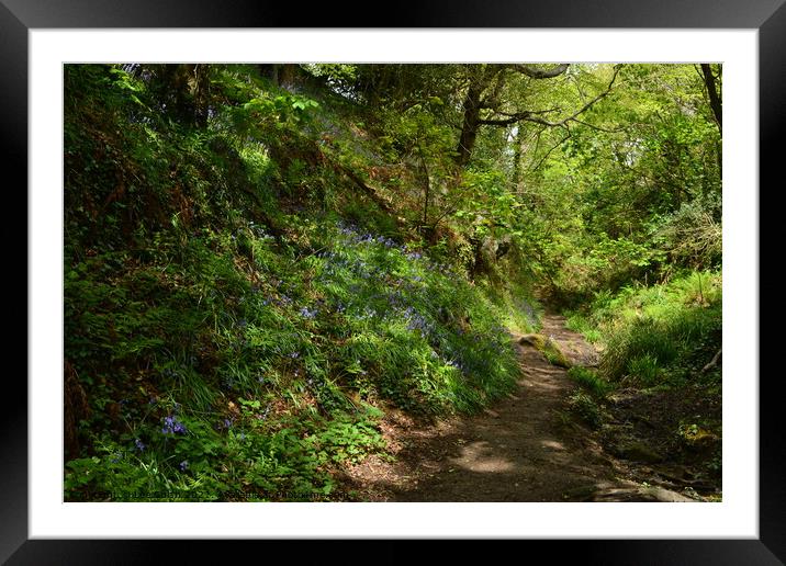 Bluebell wood in Hastings Framed Mounted Print by Lee Sulsh