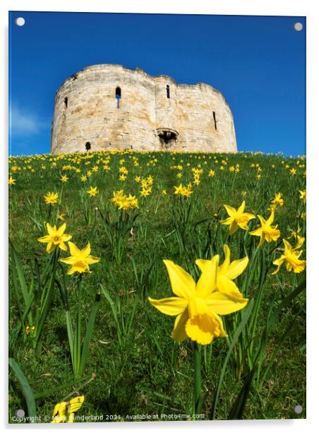 Cliffords Tower in Spring Acrylic by Mark Sunderland