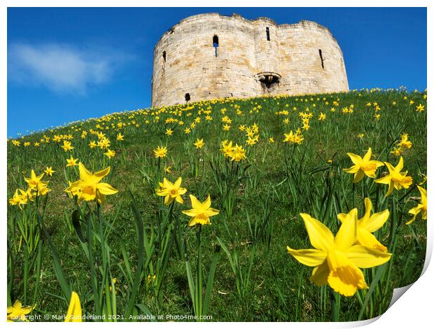 Cliffords Tower in Spring Print by Mark Sunderland