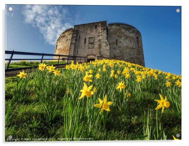 Cliffords Tower in Spring Acrylic by Mark Sunderland