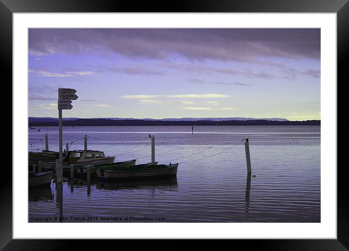 Tuggerah Lakes Framed Mounted Print by Bec Trinick