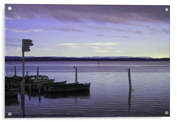 Tuggerah Lakes Acrylic by Bec Trinick