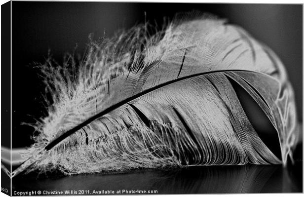 Lighter Than a Feather Canvas Print by Christine Johnson