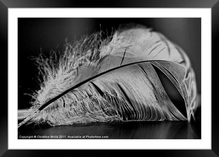 Lighter Than a Feather Framed Mounted Print by Christine Johnson