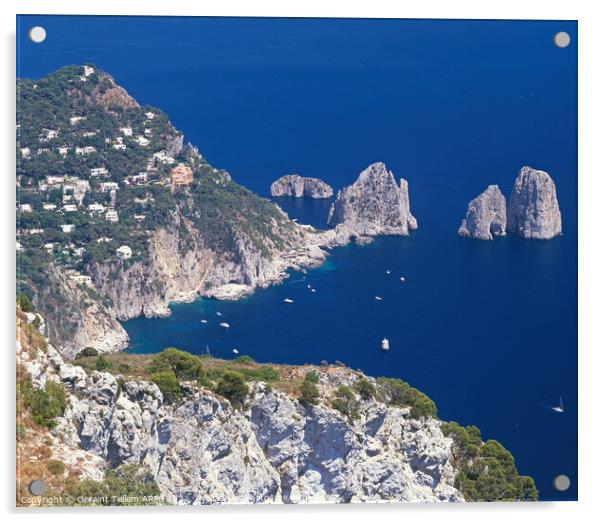 Blue Grotto, Capri, Italy Acrylic by Geraint Tellem ARPS
