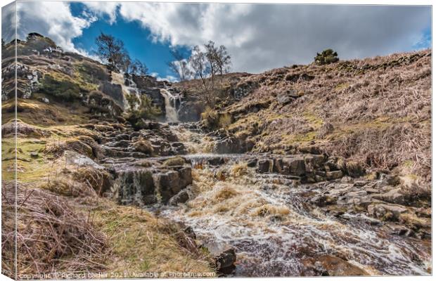 Blea Beck Force, Teesdale (2) Canvas Print by Richard Laidler
