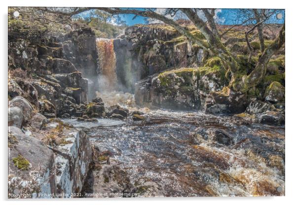 Unnamed Waterfall on Blea Beck, Teesdale (1) Acrylic by Richard Laidler