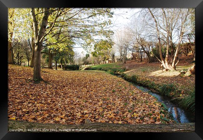 Battleton Brook, Evesham, in Autumn Framed Print by Richard J. Kyte