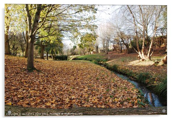 Battleton Brook, Evesham, in Autumn Acrylic by Richard J. Kyte