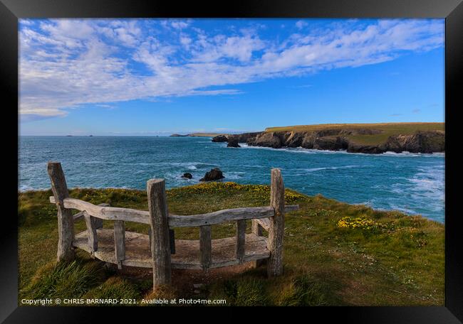 Seat with a view Framed Print by CHRIS BARNARD
