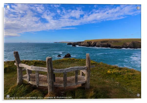 Seat with a view Acrylic by CHRIS BARNARD