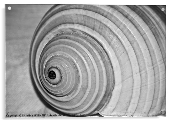 Spiral Illusion Acrylic by Christine Johnson
