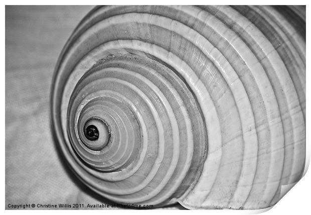 Spiral Illusion Print by Christine Johnson