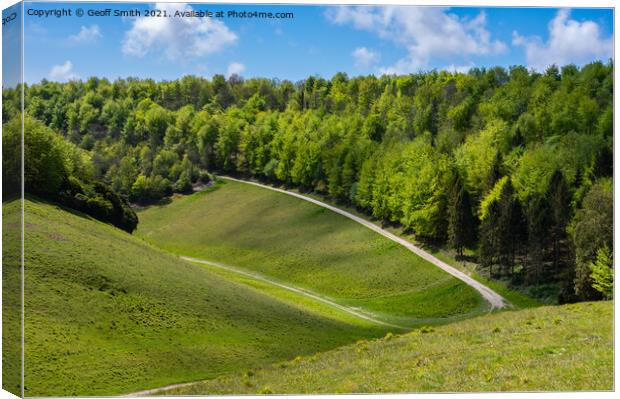 Woodland at Arundel Park in Spring Canvas Print by Geoff Smith