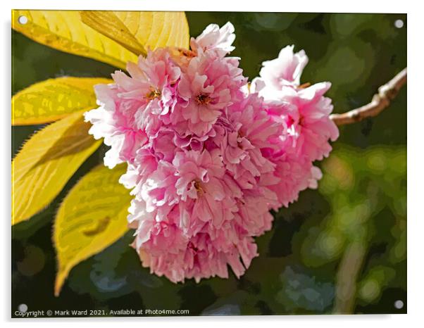 Cherry Blossom High. Acrylic by Mark Ward