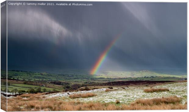 Majestic Rainbow Over Moorlands Canvas Print by tammy mellor